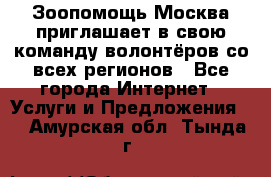 Зоопомощь.Москва приглашает в свою команду волонтёров со всех регионов - Все города Интернет » Услуги и Предложения   . Амурская обл.,Тында г.